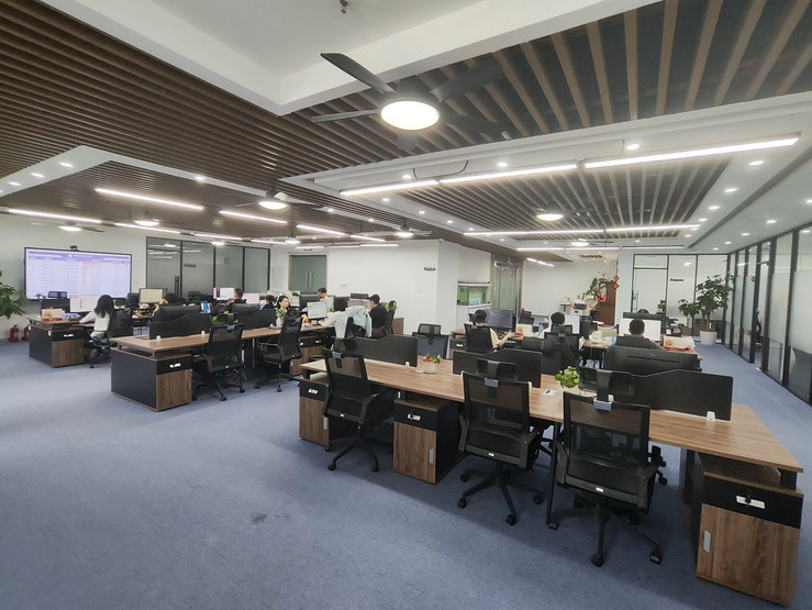 China Wuhan The One Micro Technology Co., Ltd. Unternehmensprofil